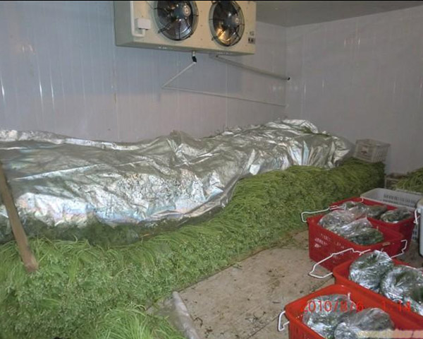 果蔬冷库设计方案